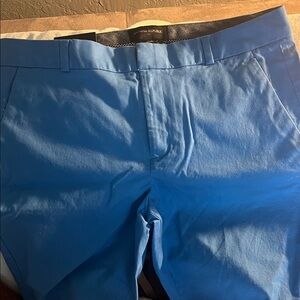 Banana Republic Vibrant Blue Trousers